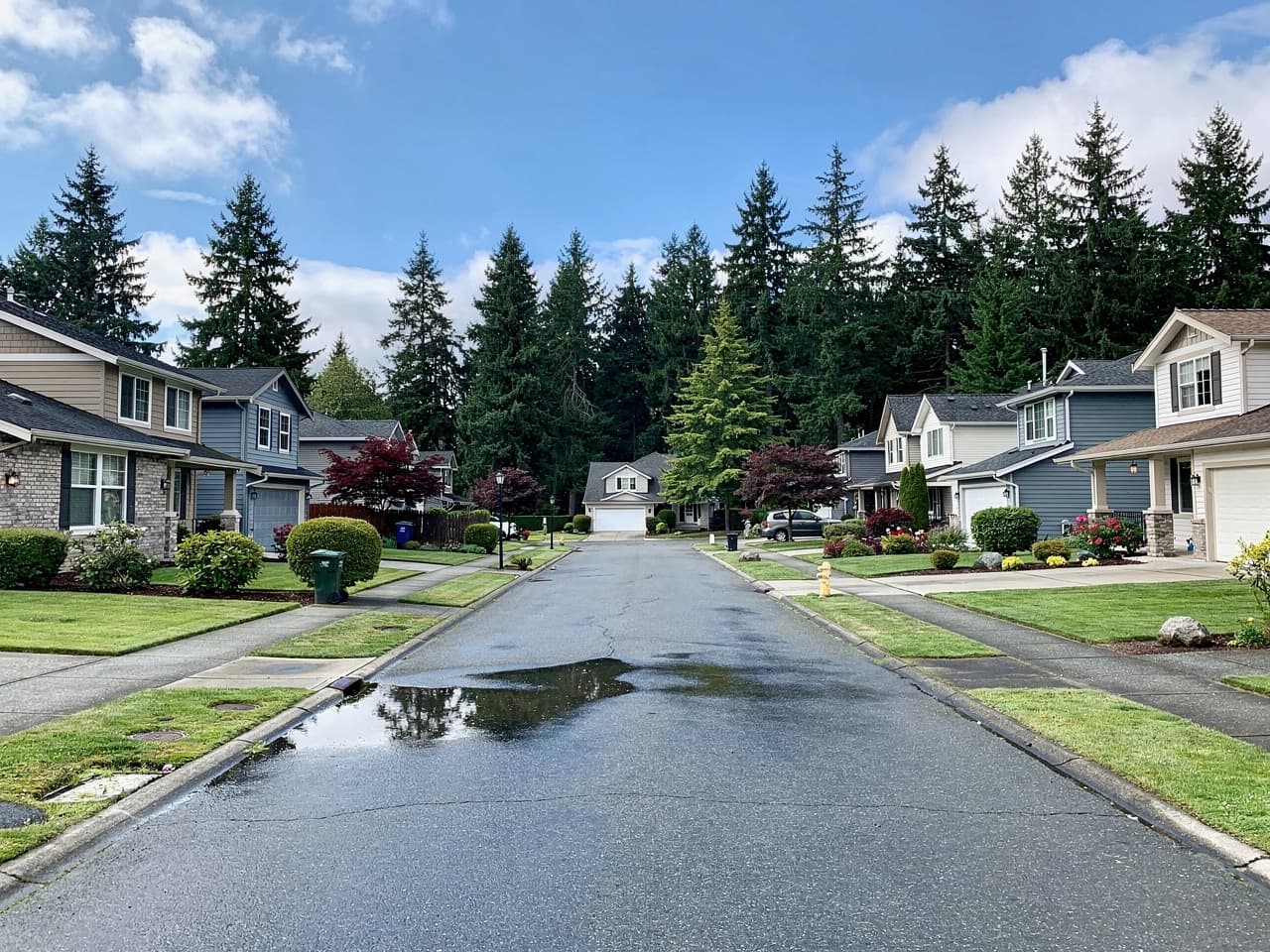 A quiet Pacific Northwest neighborhood street after the rain