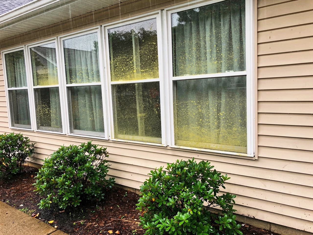 A home's windows hazy with pollen film, rain spots, and streaks before cleaning