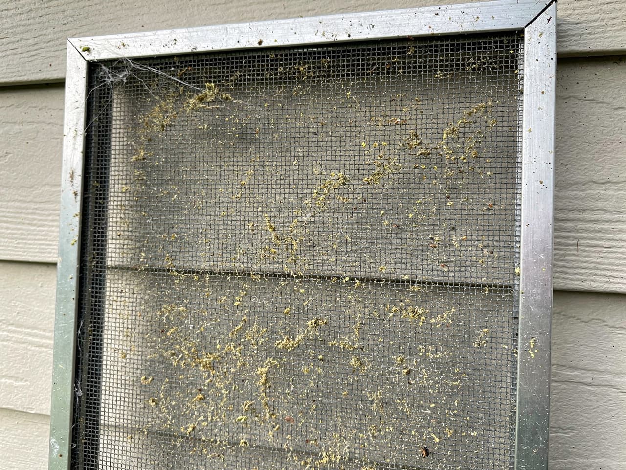 A window screen clogged with dust, pollen, and cobwebs before cleaning