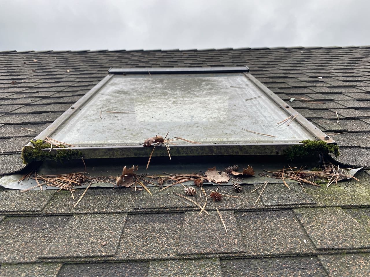 A skylight dimmed by moss, leaf debris, and grime before cleaning