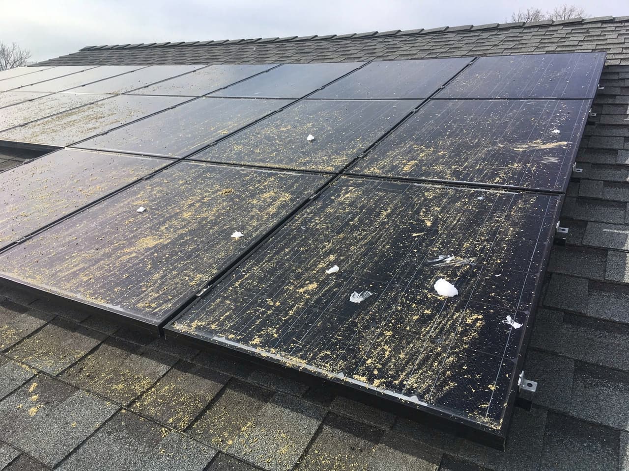 Rooftop solar panels dulled by dust, pollen, and grime before cleaning